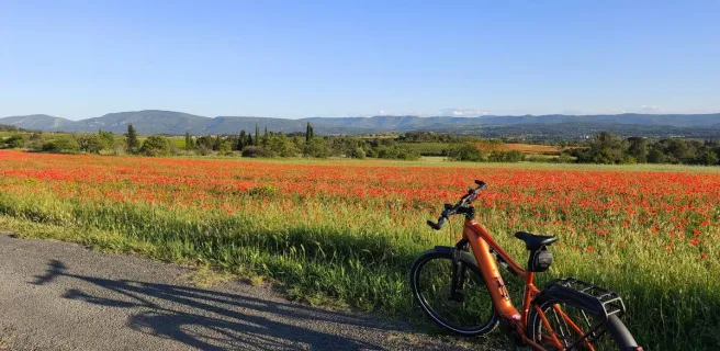 EASY VELO CARCASSONNE