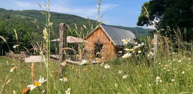 Chalet Au Bois Du Haut Folin