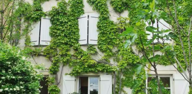 La Villa Saint-Georges