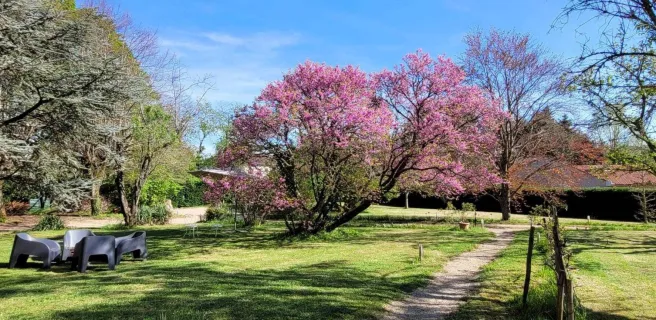 Des Histoires d’Anges le Gîte