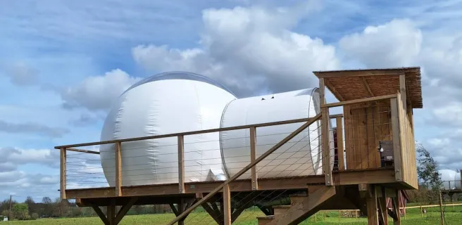 Les insolites de Sophie - Bulle Fée Viviane