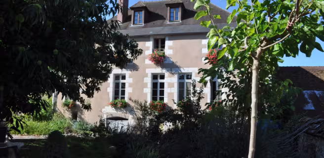 Le Cep en Sancerrois