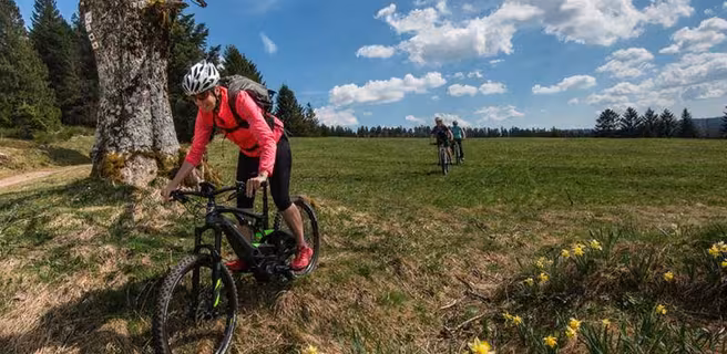 Sports Passion II - location de cycles