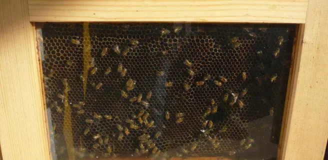 La Miellerie de Surimeau