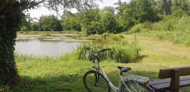 Location de vélo, kayak et paddle - Maison Eclusière de Long