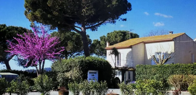 A L'ORÉE DES VIGNES