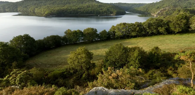 Guerlédan's Lake