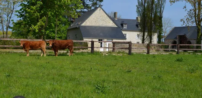 Gîtes de France G772 : L'Amandière