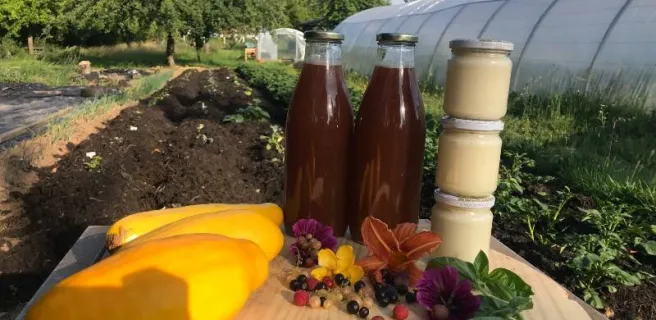 6 Les Racines du Goût