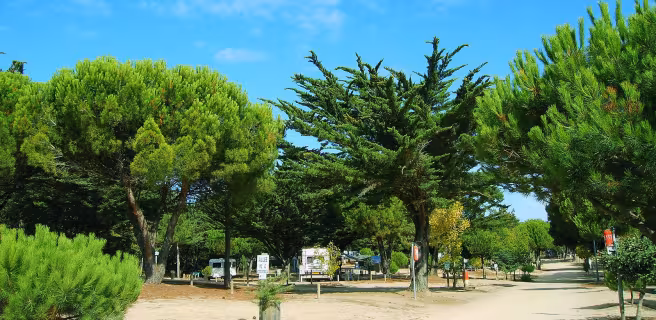 camping municipal l'orgatte notre dame de monts vendee