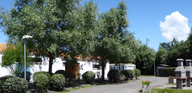 Camping-La Maison Blanche