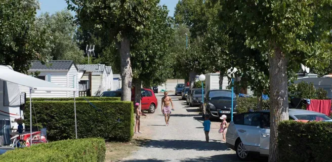 Camping Le Petit Bois