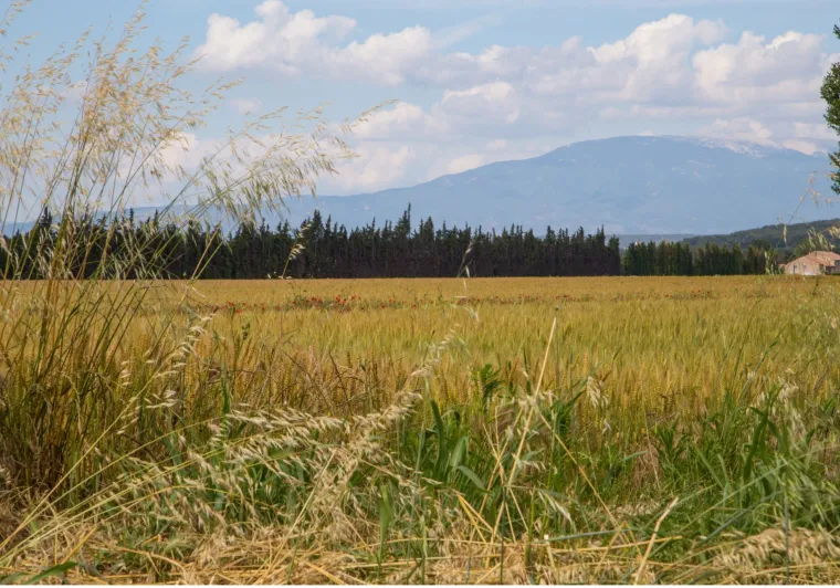 Paysage sur la Via Venaissia