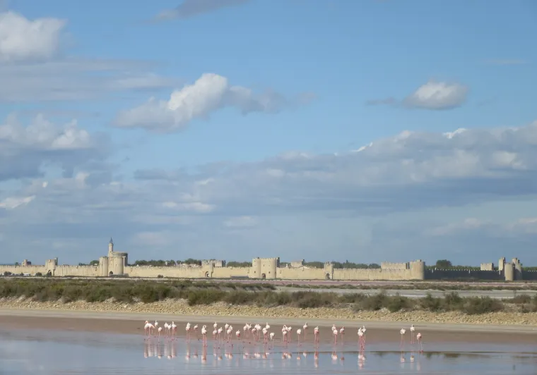 Salins d'Aigues-Mortes