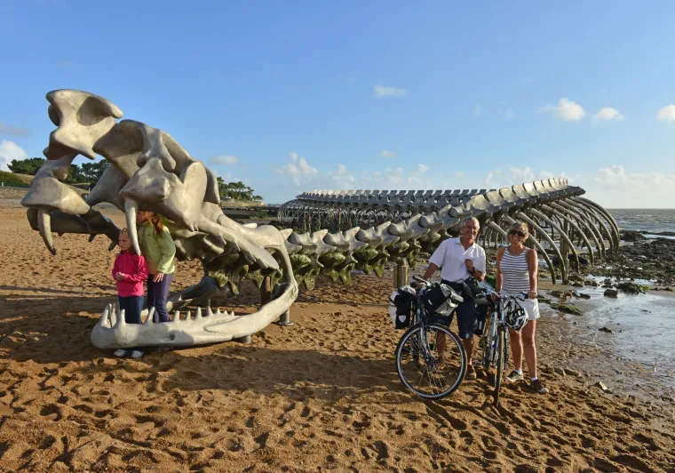 Serpent de Mer à Saint-Brévin