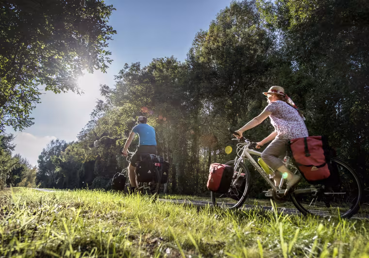Vélo à Vouvray - Saint Jacques à vélo