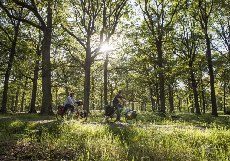 Vélo dans la Vallée de Chevreuse - La Véloscénie