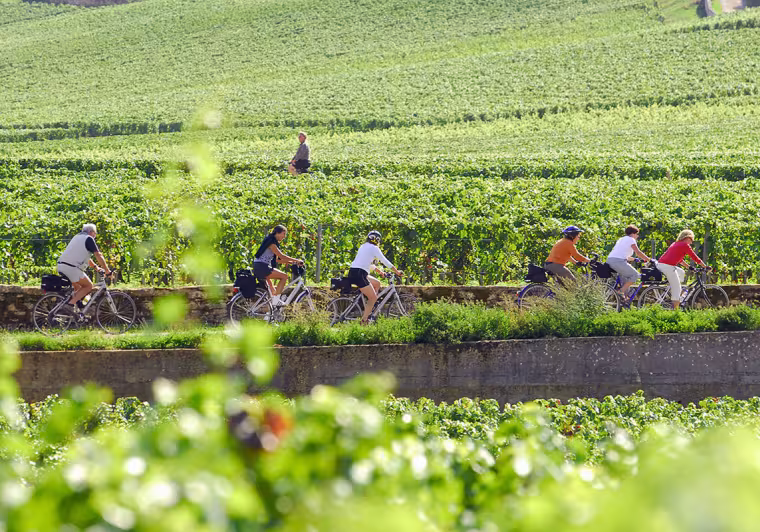 Vine route by bike in Burgundy 