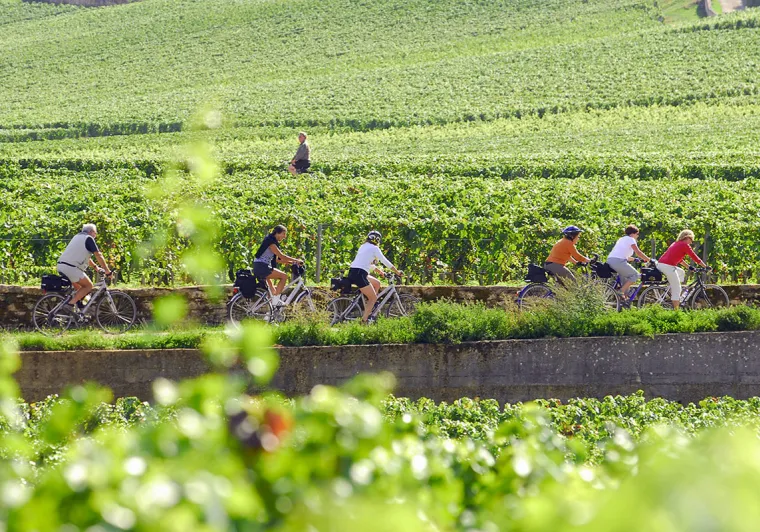 Vine route by bike in Burgundy 
