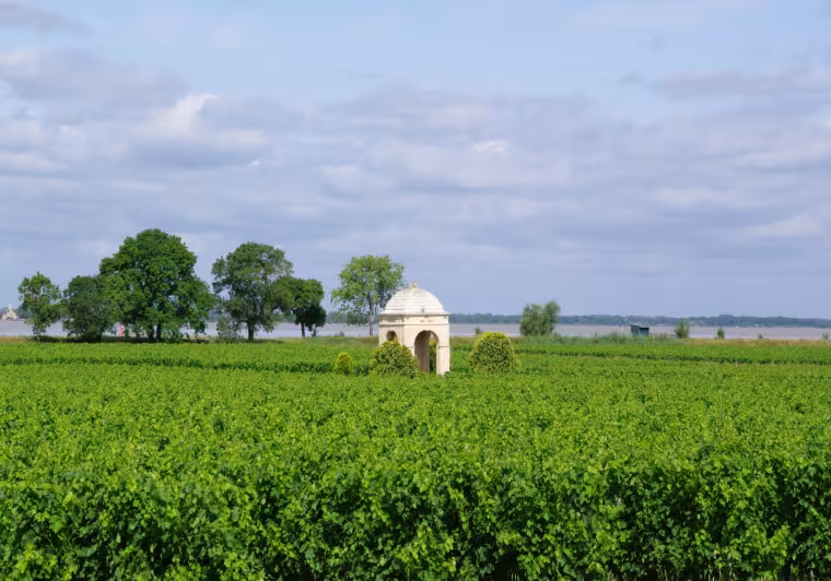 Les vignobles de Gironde à vélo