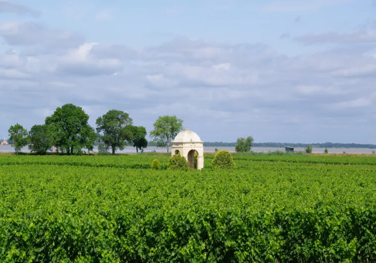 Les vignobles de Gironde à vélo
