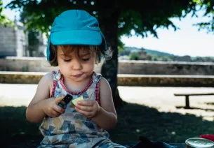 La Joyeuse Vadrouille