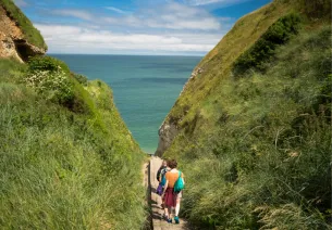 Les valleuses secrètes de la côte d'Albâtre