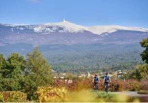 Cycliste devant le Mont Ventoux