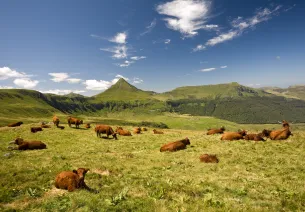 Le Cantal, clou du spectacle 