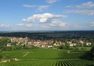 Buxy, village cerné par les vignes