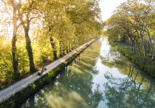 Le Canal du midi à vélo avec trois chiens