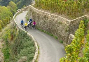 Les côtes du Rhône, découverte du vignoble à vélo