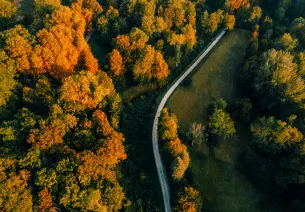 À vélo en forêt de Compiègne