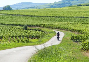 Les vignes à vélo en Bourgogne Franche Comté