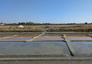Marais salants aux Moutiers-en-Retz
