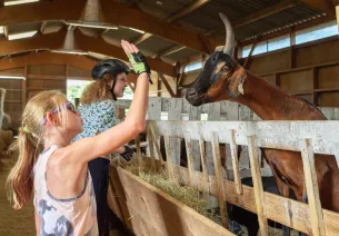 Visite de ferme et pause détente à Bagnols-de-l'orne