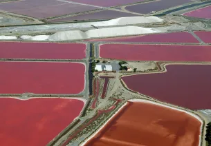Salin d'Aigues-Mortes