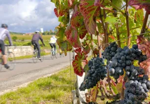 A vélo dans le vignoble de la Côte Chalonnaise