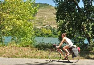 Remonter le fil du Rhône à vélo
