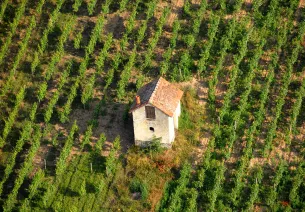 Loir Valley vineyards