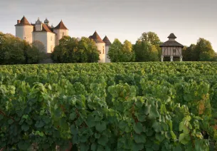 Le vin de Cahors