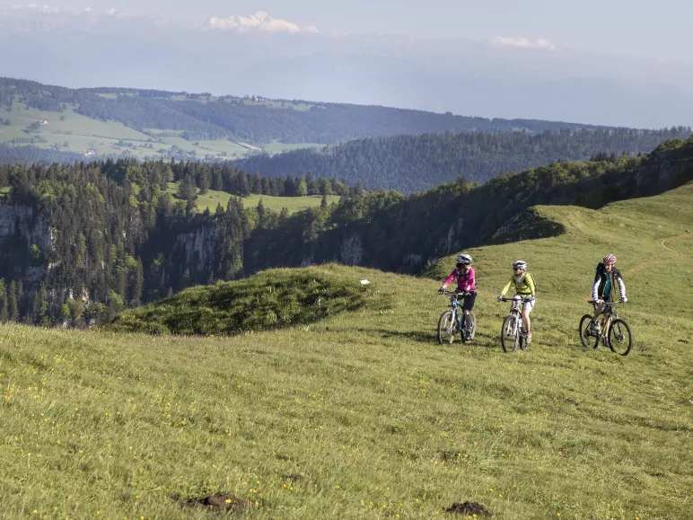 Sur les crètes du Mont d'Or
