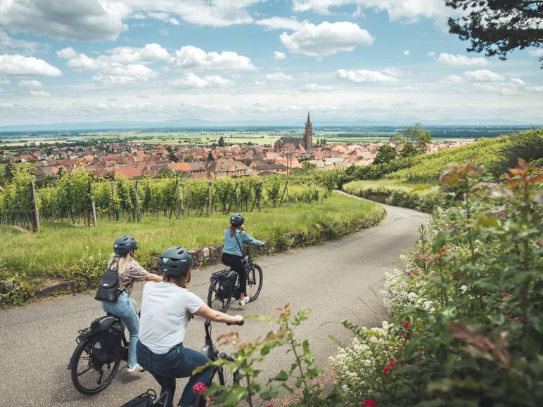 Balade à vélo à Dambach-la-ville