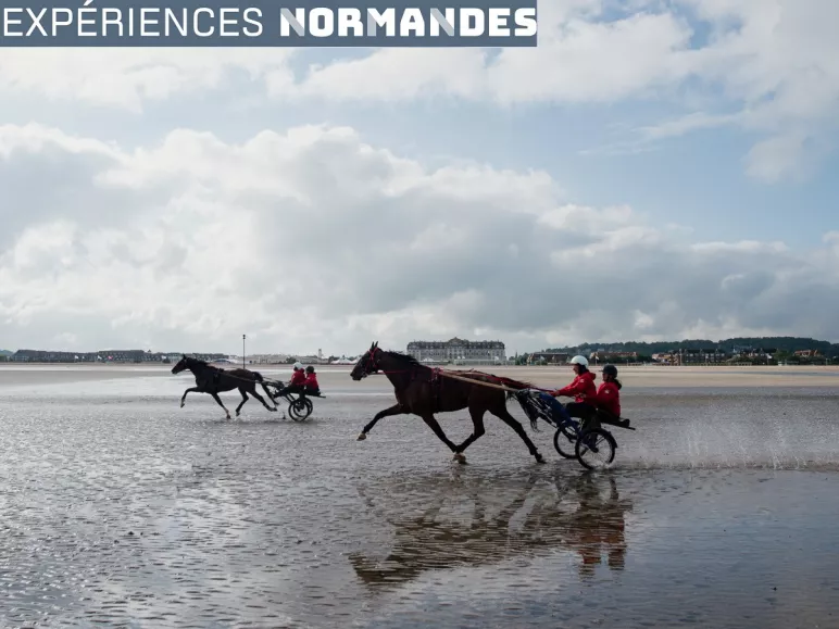 Baptême de « Sulky » sur la plage de Deauville