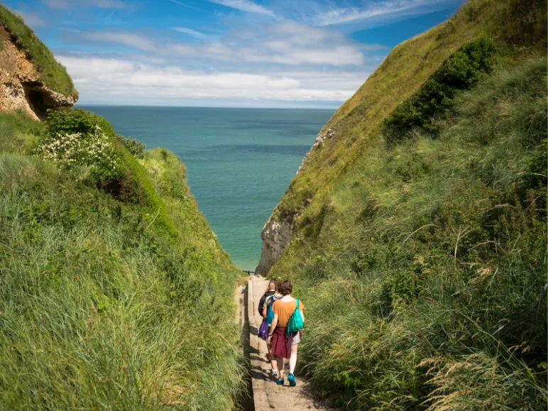 Les valleuses secrètes de la côte d'Albâtre