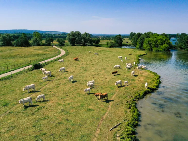Les Plaines du Val-de-Saône à vélo