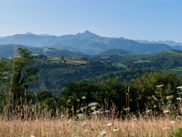 Panorama sur les Pyrénées
