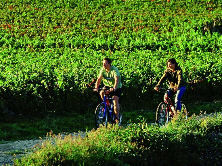 Les vignes et vergers de l'Auxerrois