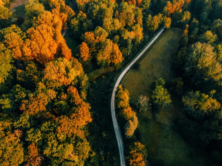 À vélo en forêt de Compiègne