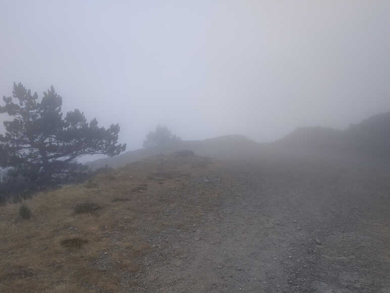 Mont Aigoual embrumé
